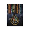HARRY POTTER - Coperta in pile: 