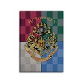 HARRY POTTER - Coperta in pile: 
