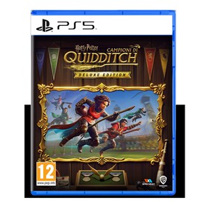 Harry Potter: Campioni di Quidditch