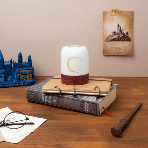 ERIK.  LAMPADA PER AMBIENTE HARRY POTTER HEDWIG
