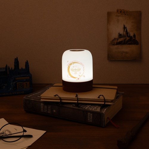 ERIK.  LAMPADA PER AMBIENTE HARRY POTTER HEDWIG